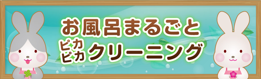 お風呂（浴室）まるごと水回りピカピカ洗浄3点セット