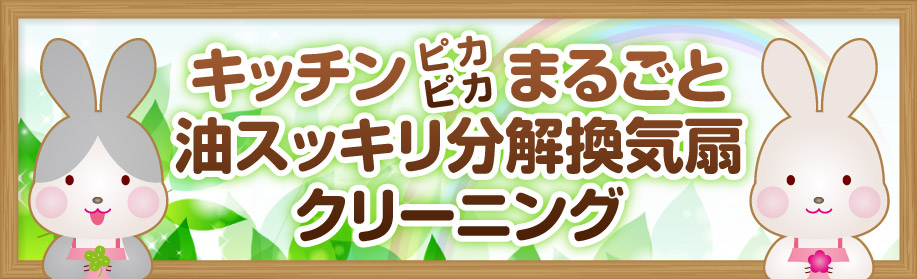 キッチンピカピカ丸ごと・油スッキリ分解換気扇（レンジフード）洗浄