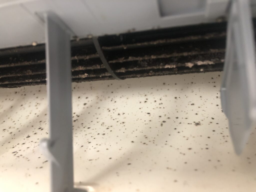 エアコンのカビの確認方法など